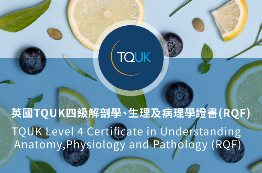 英國 TQUK 四級解剖學、生理及病理學證書(RQF)